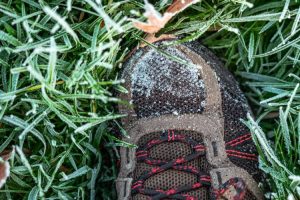 photo 1606056824952 60f8ba86fed1cropentropycstinysrgbfitmaxfmjpgixidM3wxNDA1NTd8MHwxfHNlYXJjaHw3Nnx8dHJla2tpbmclMjBhZGlkYXMlMjBjb21iYXQlMjBib290c3xlbnwxfDB8fHwxNzU2NTY1Njg2fDAixlibrb 4.1.0q80w1080