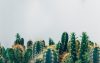 photo 1463936575829 25148e1db1b8cropentropycstinysrgbfitmaxfmjpgixidM3wxNDA1NTd8MHwxfHNlYXJjaHw5Mnx8Z3JlZW4lMjB3YWxsJTIwcGxhbnRzfGVufDF8MHx8fDE3NDM5MjYwMDR8MAixlibrb 4.0.3q80w1080